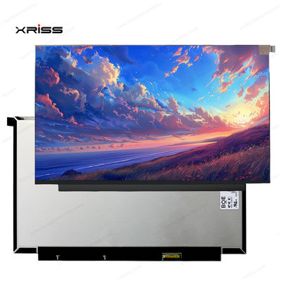 Màn hình cảm ứng 13.3 inch cho Lenovo ThinkBook 13x ITG Notebook PC, Cụm số hóa thay thế
